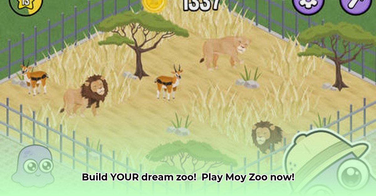games-moy-zoo